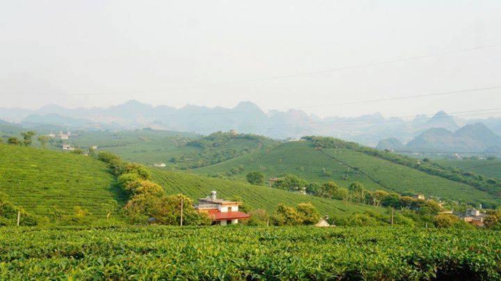Homestay Moc Chau Exterior photo